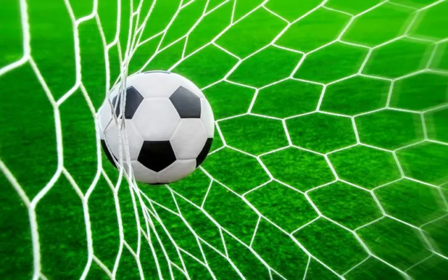 Le ballon file dans le but